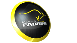 Logo FABRINI