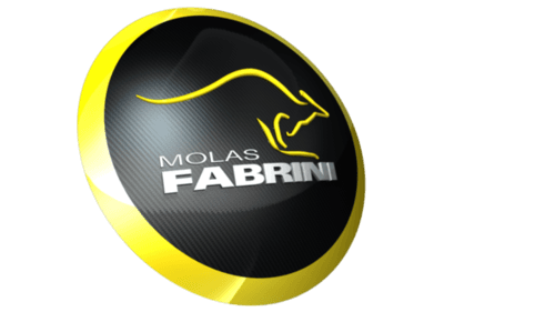 FABRINI