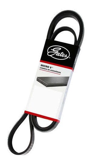 CORREIA (10PK1980) - 1779748