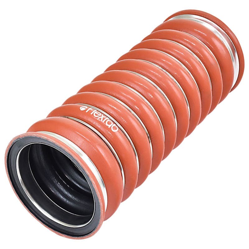 MANGUEIRA - BORT0013