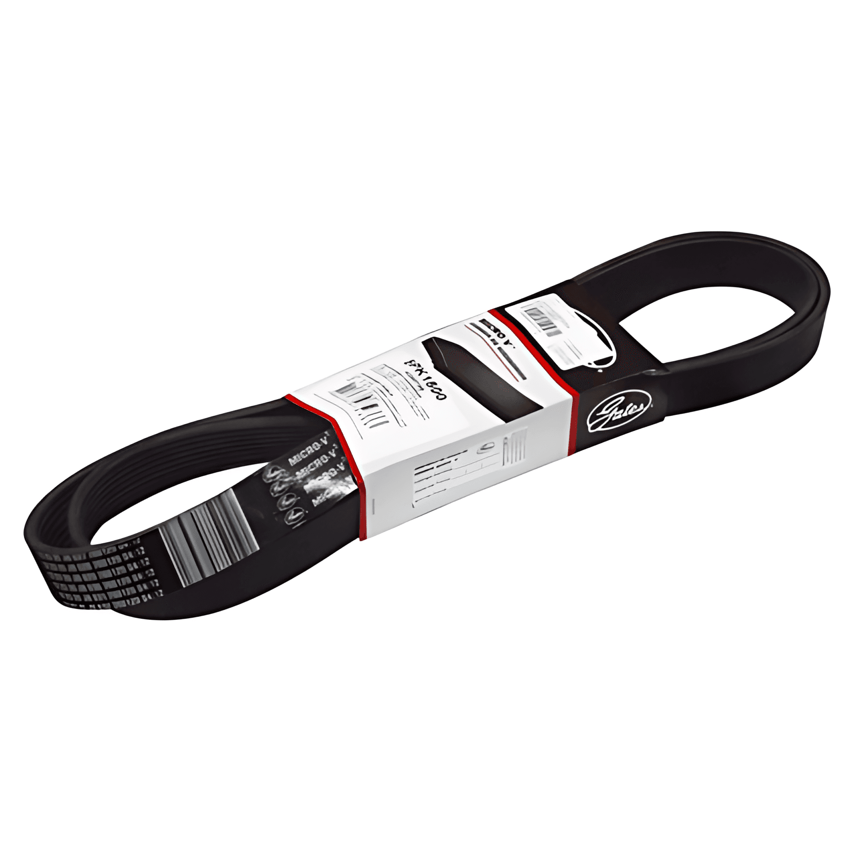 CORREIA MOTOR - 2R0145933A