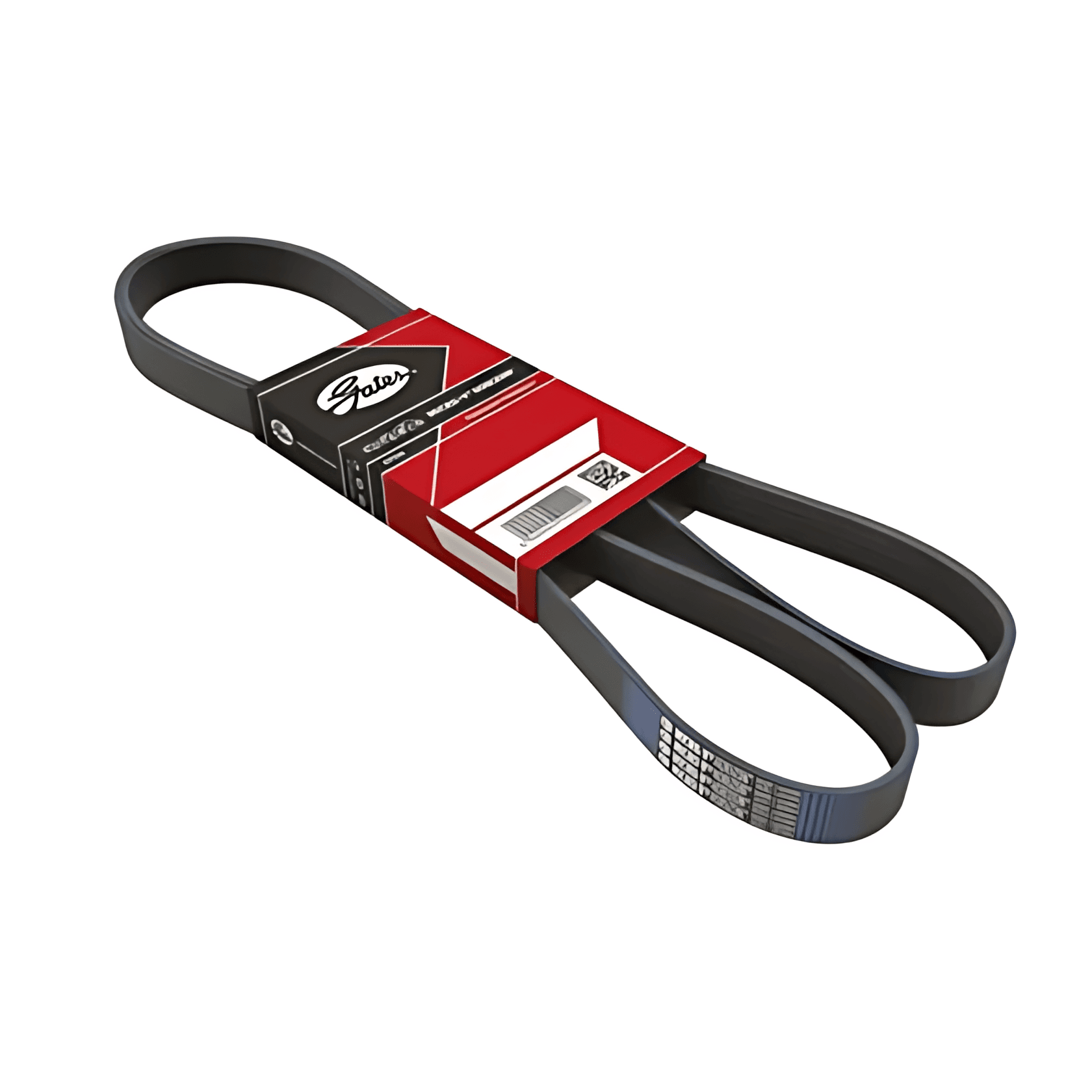 CORREIA MICRO V - 2Z0145933L