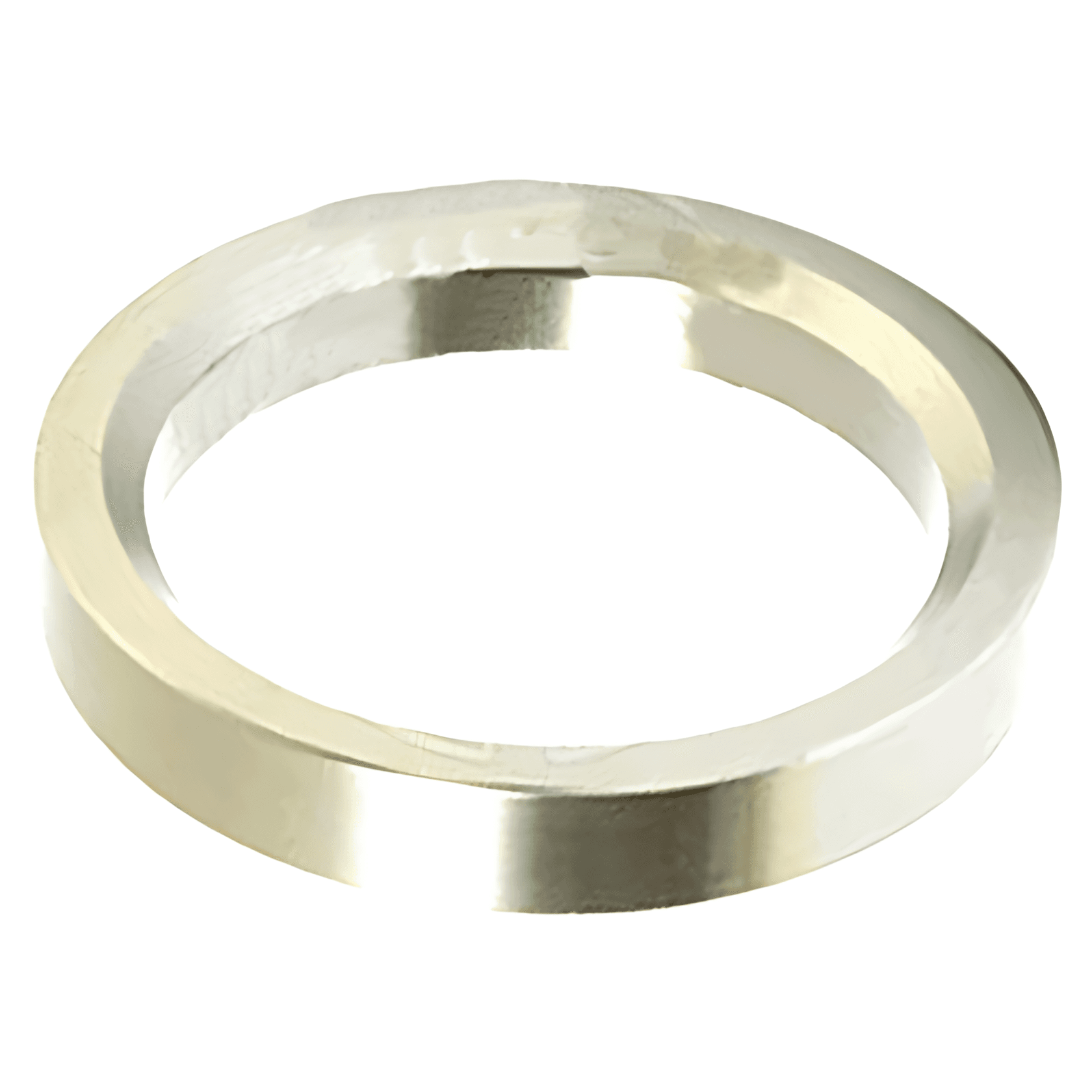 ANEL PISTA RETENTOR TRASEIRO ( 125 X 98 X 19 MM) - 3273560515