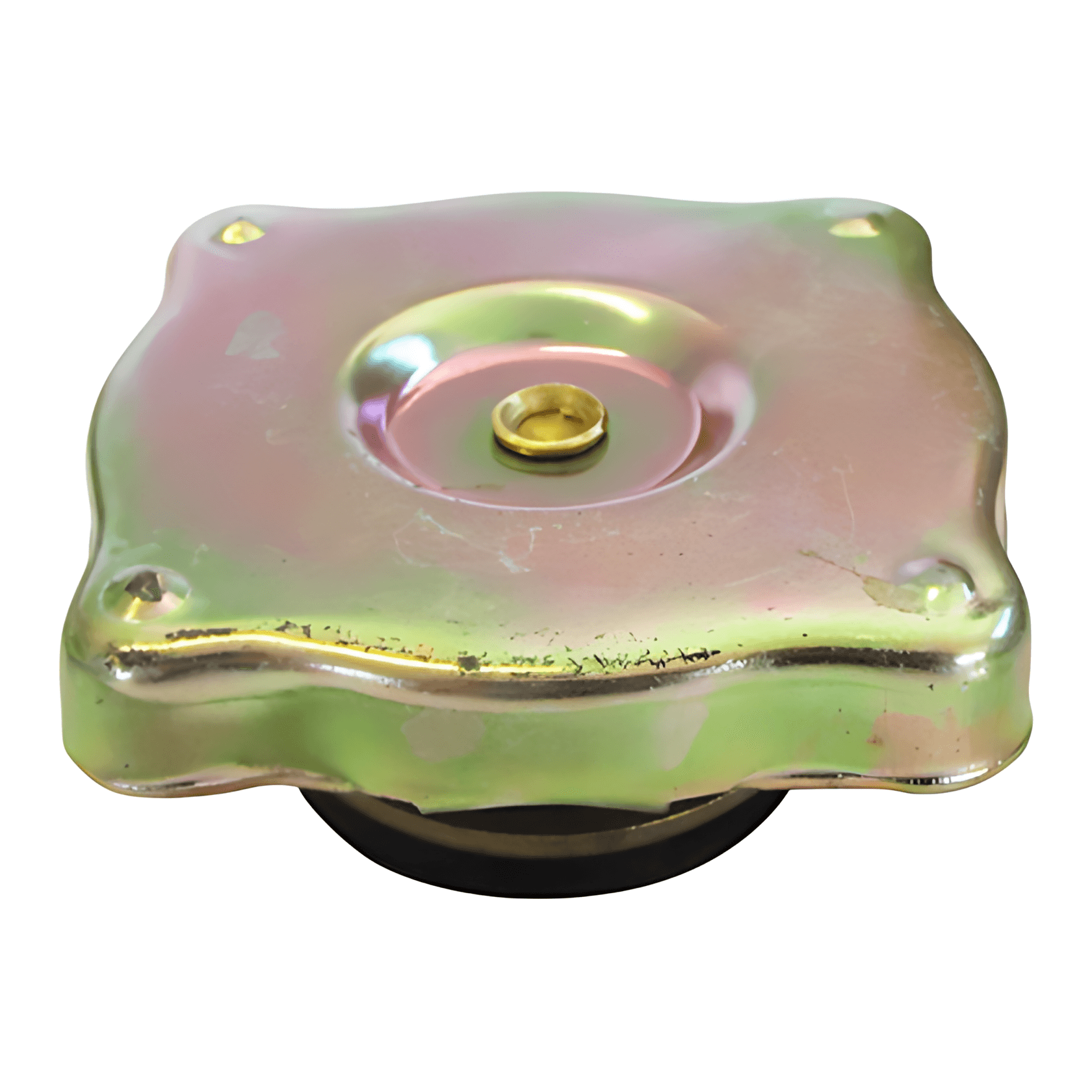 TAMPA RADIADOR - 6955017115