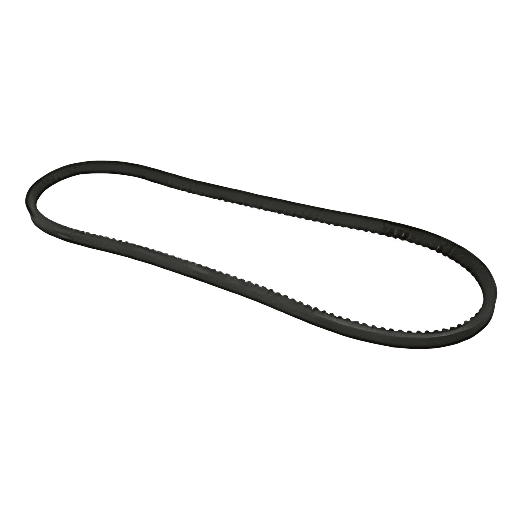 CORREIA V - T11145755