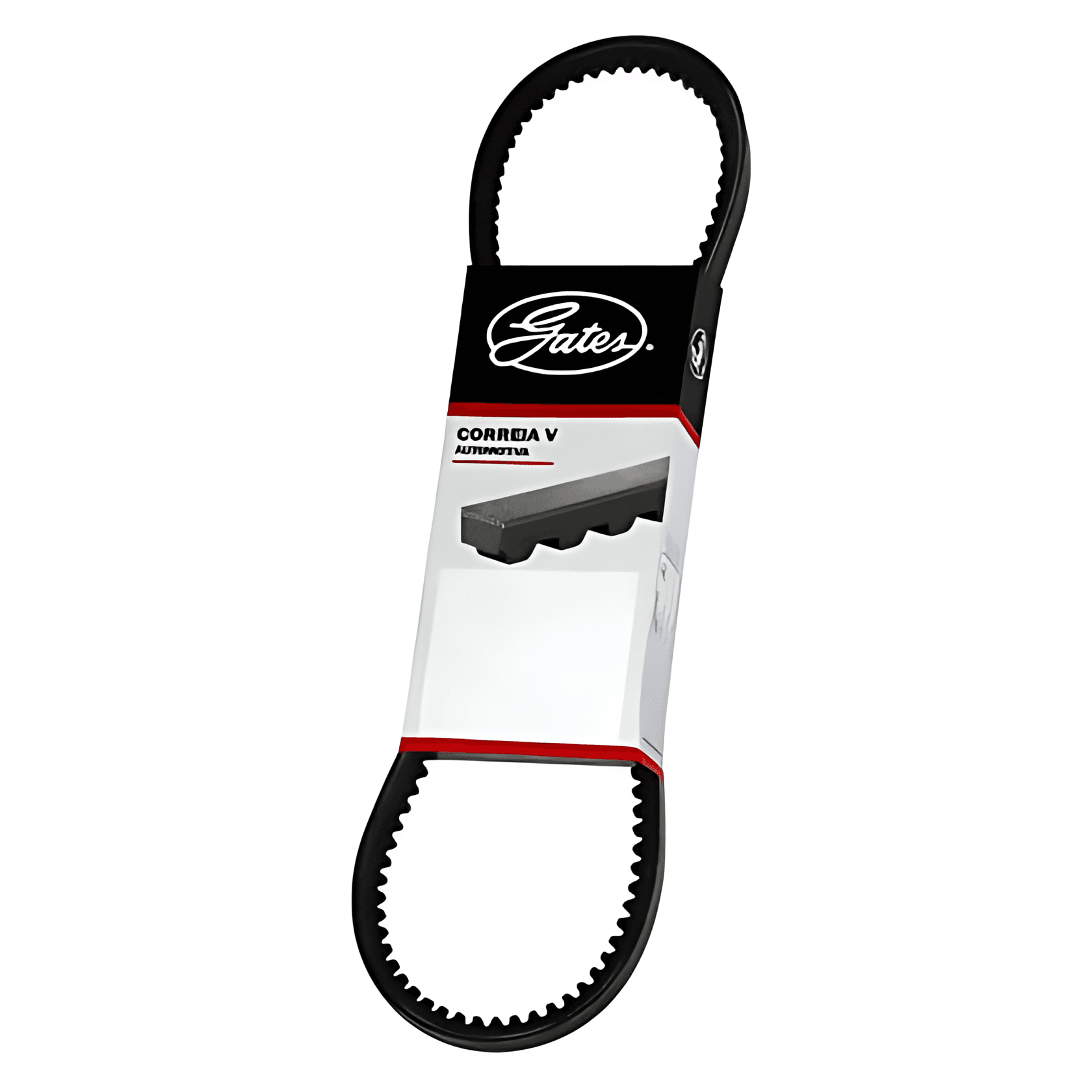 CORREIA MOTOR - TEG145755A