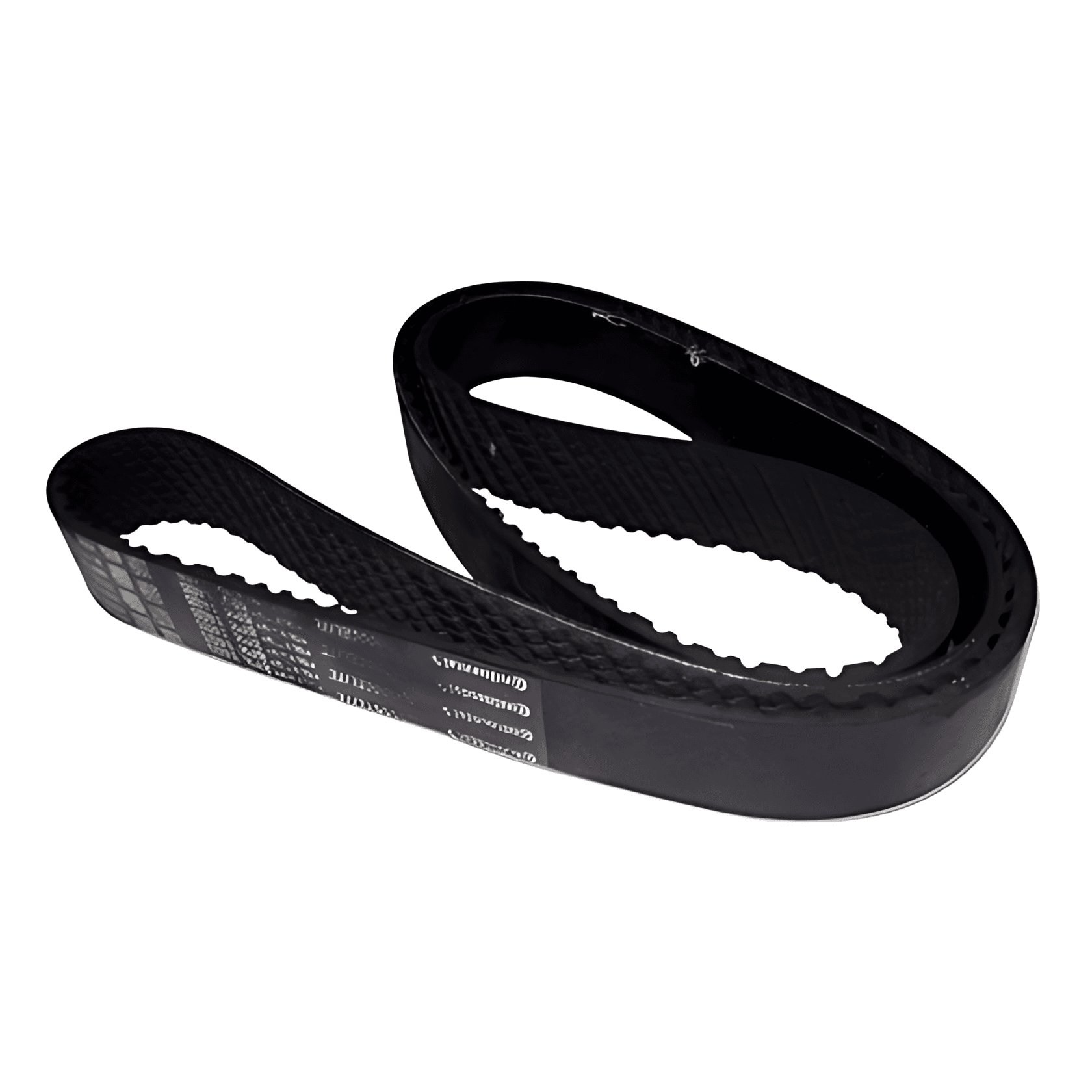 CORREIA POLY V - TAP903137