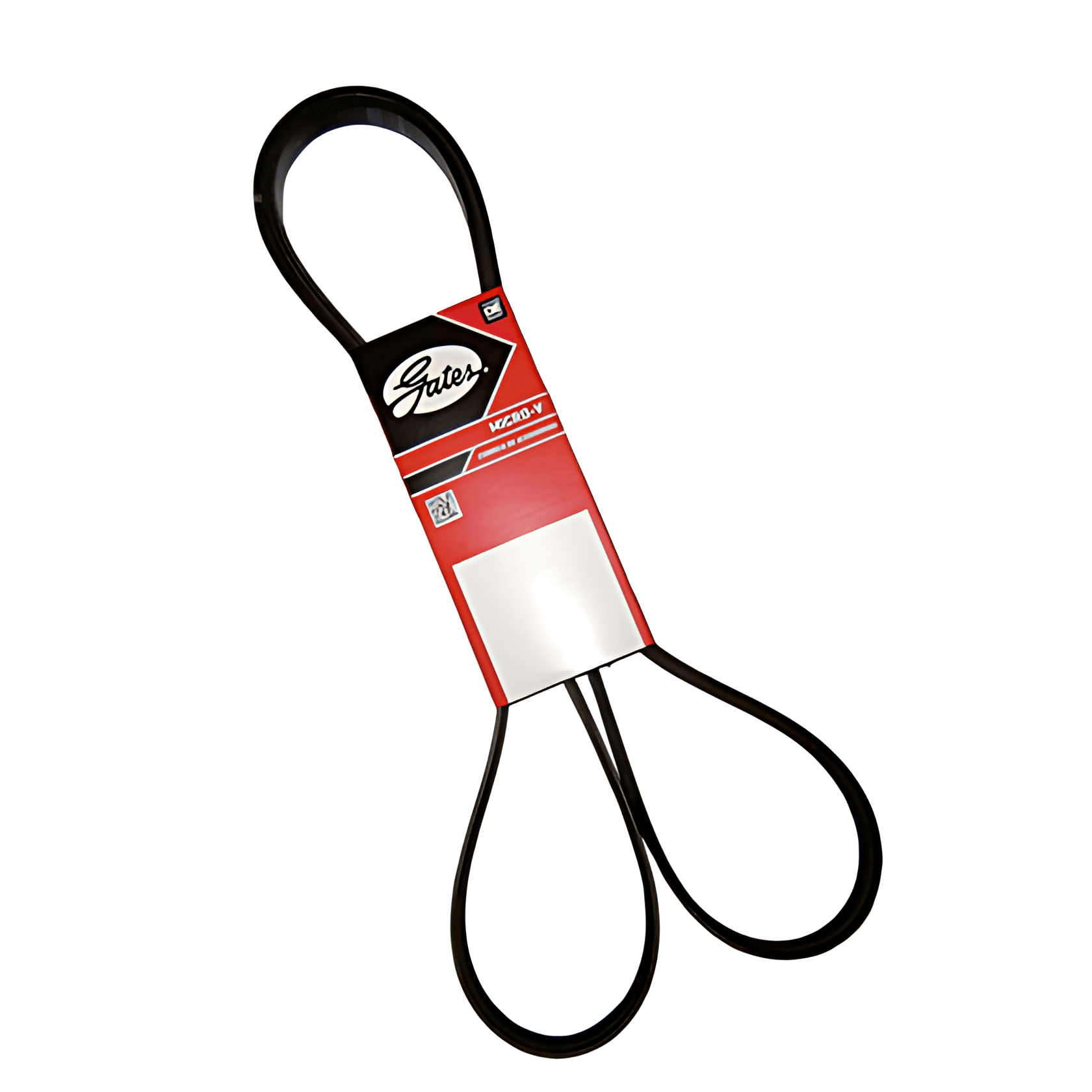 CORREIA MOTOR - 9069938996