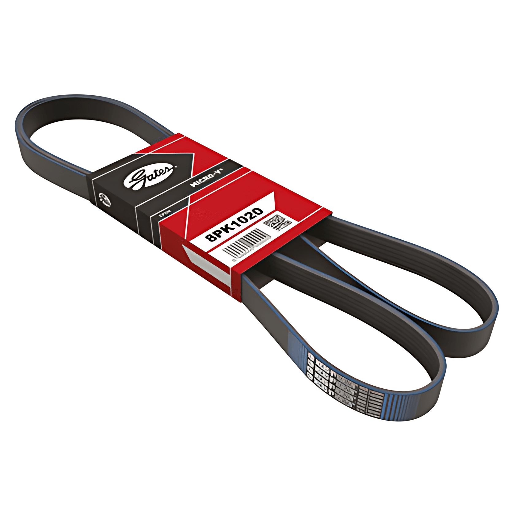 CORREIA (8PK1015) - 977825