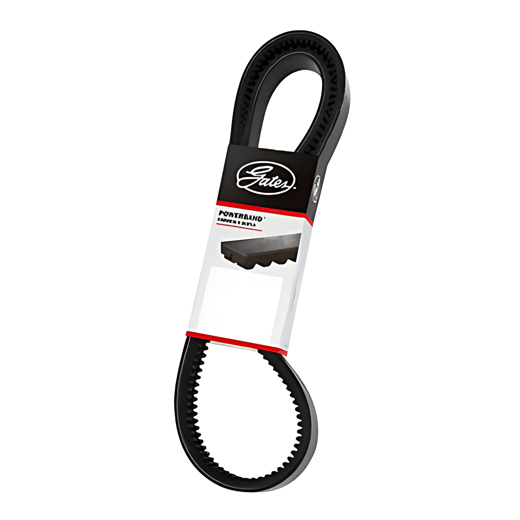 CORREIA EM V DUPLA - 2/BXS96AC