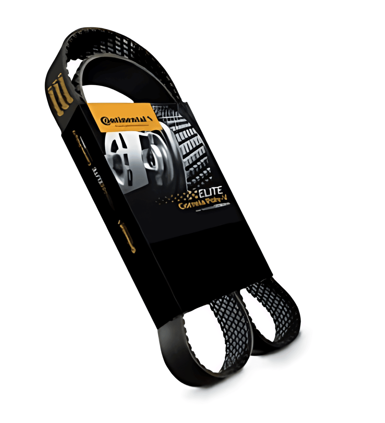 CORREIA POLY V ELASTICA - 504066407