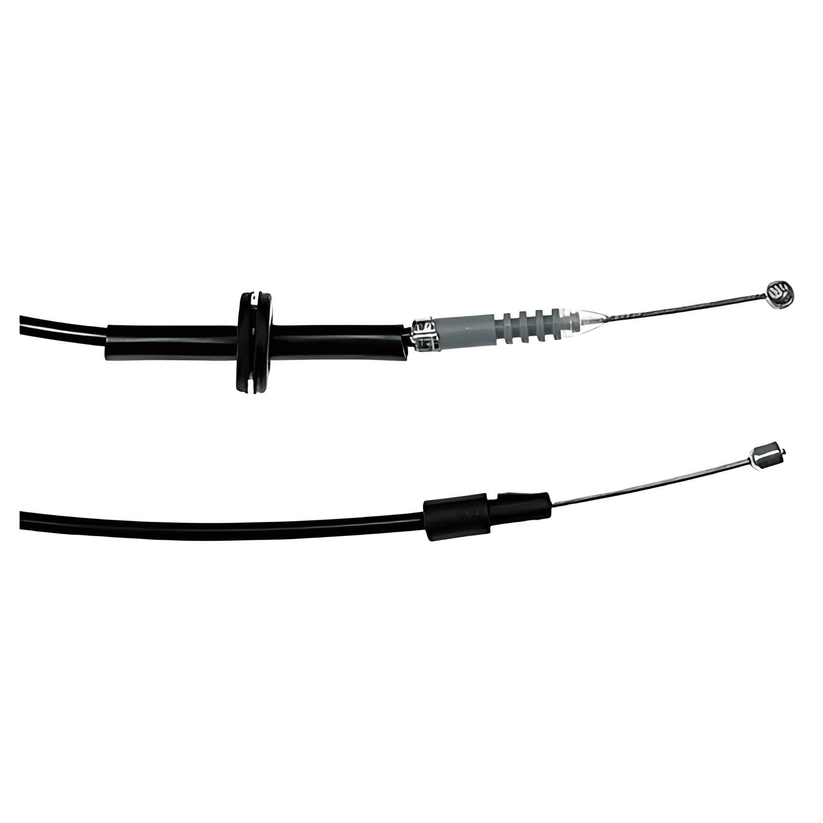 CABO CAPO - 1338861080