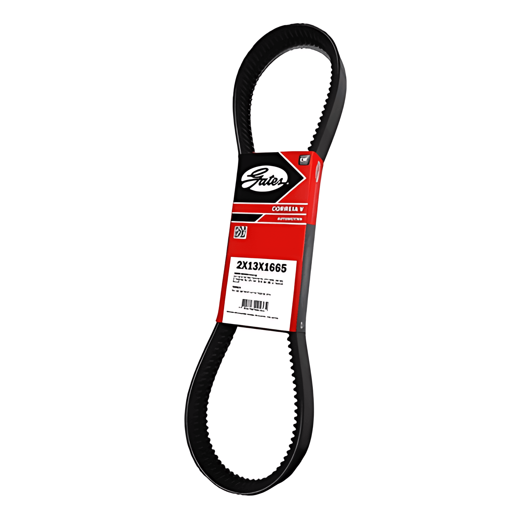 CORREIA DUPLA - 2X13X1665