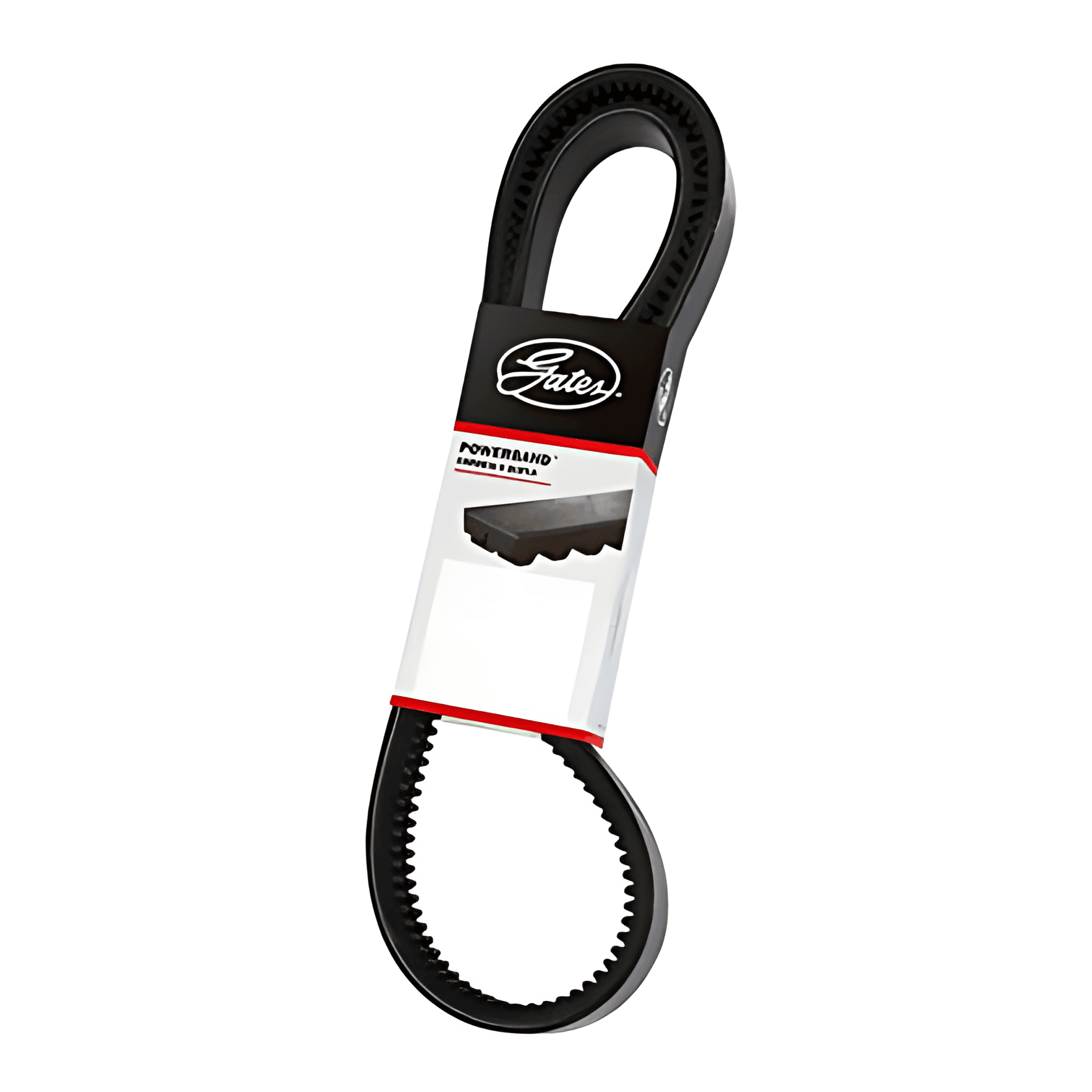 CORREIA EM V DUPLA - 2/BXS78AC