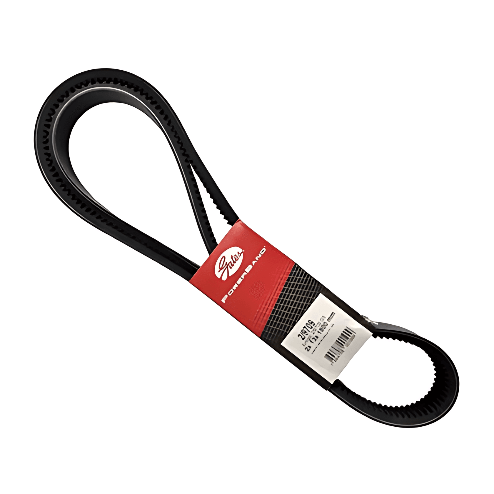 CORREIA DUPLA VIRABREQUIM - 6649973692