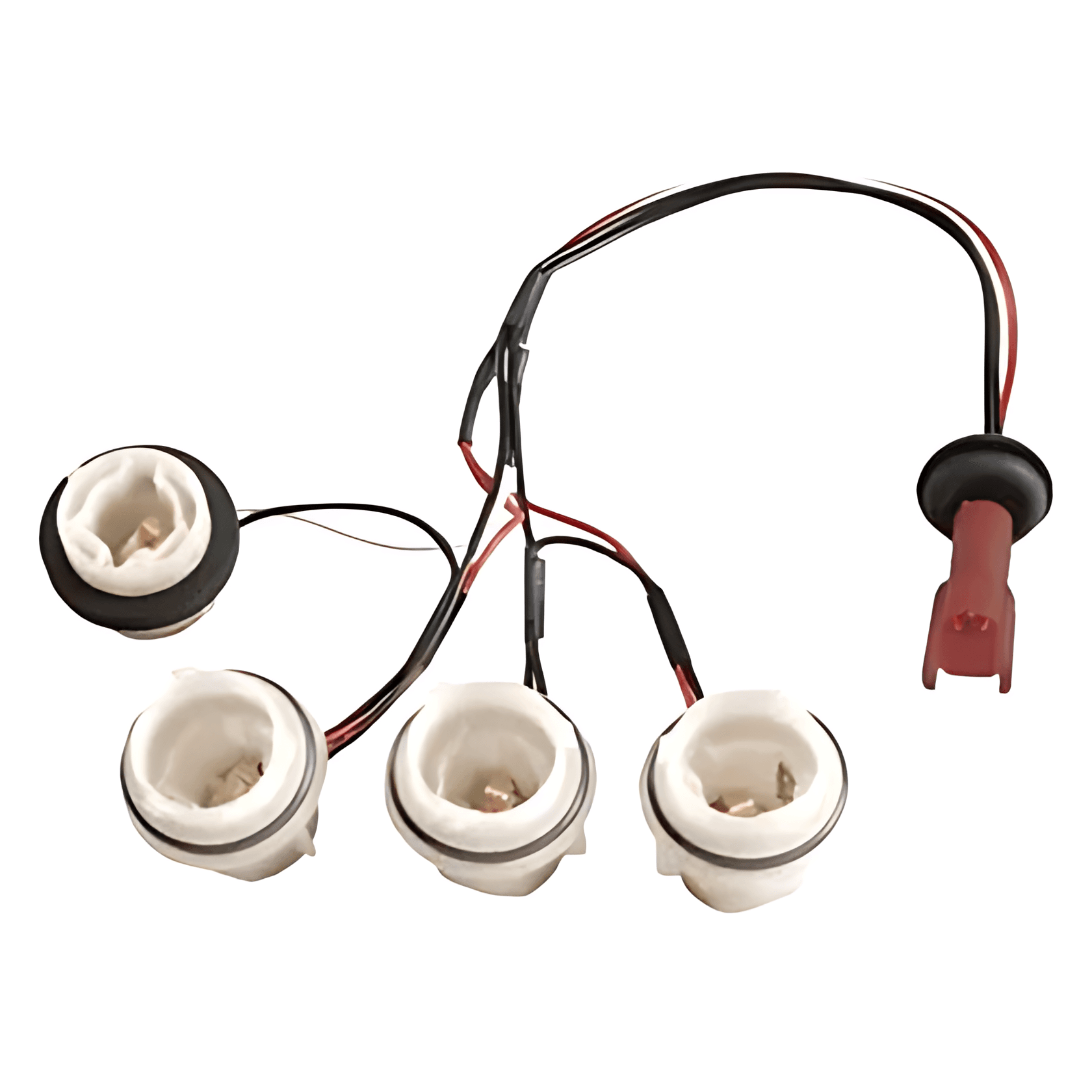 CHICOTE LANTERNA SETA - 1467007