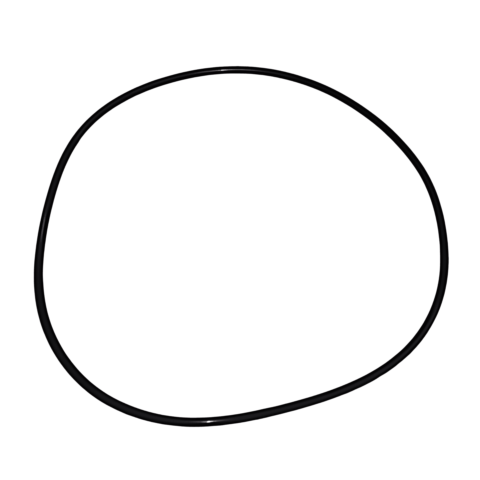 ANEL VEDADOR CAIXA PINHAO DIFERENCIAL MS13113 - GW0533