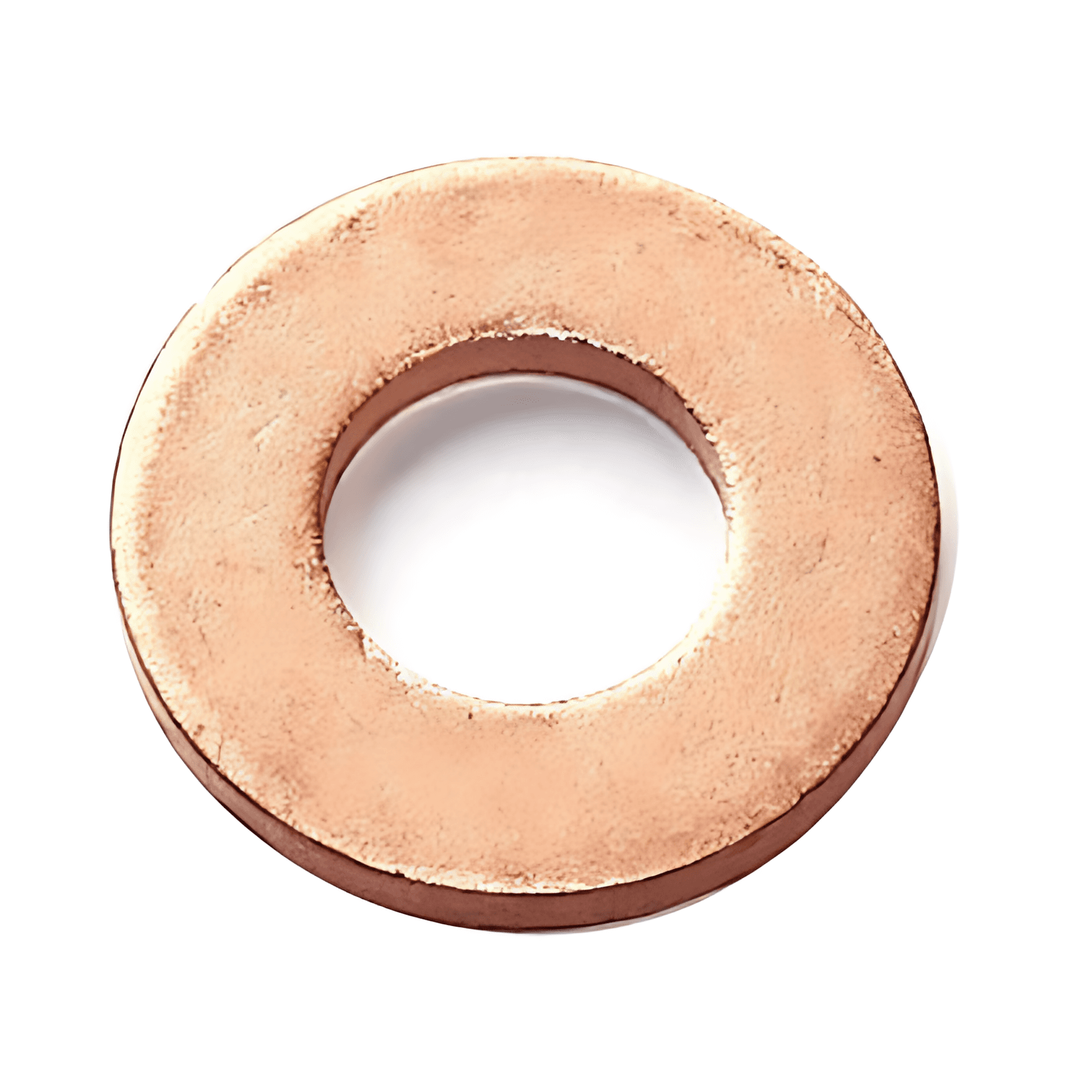 ARRUELA PROTECAO BICO INJETOR - SCANICA 114/124 - 002194