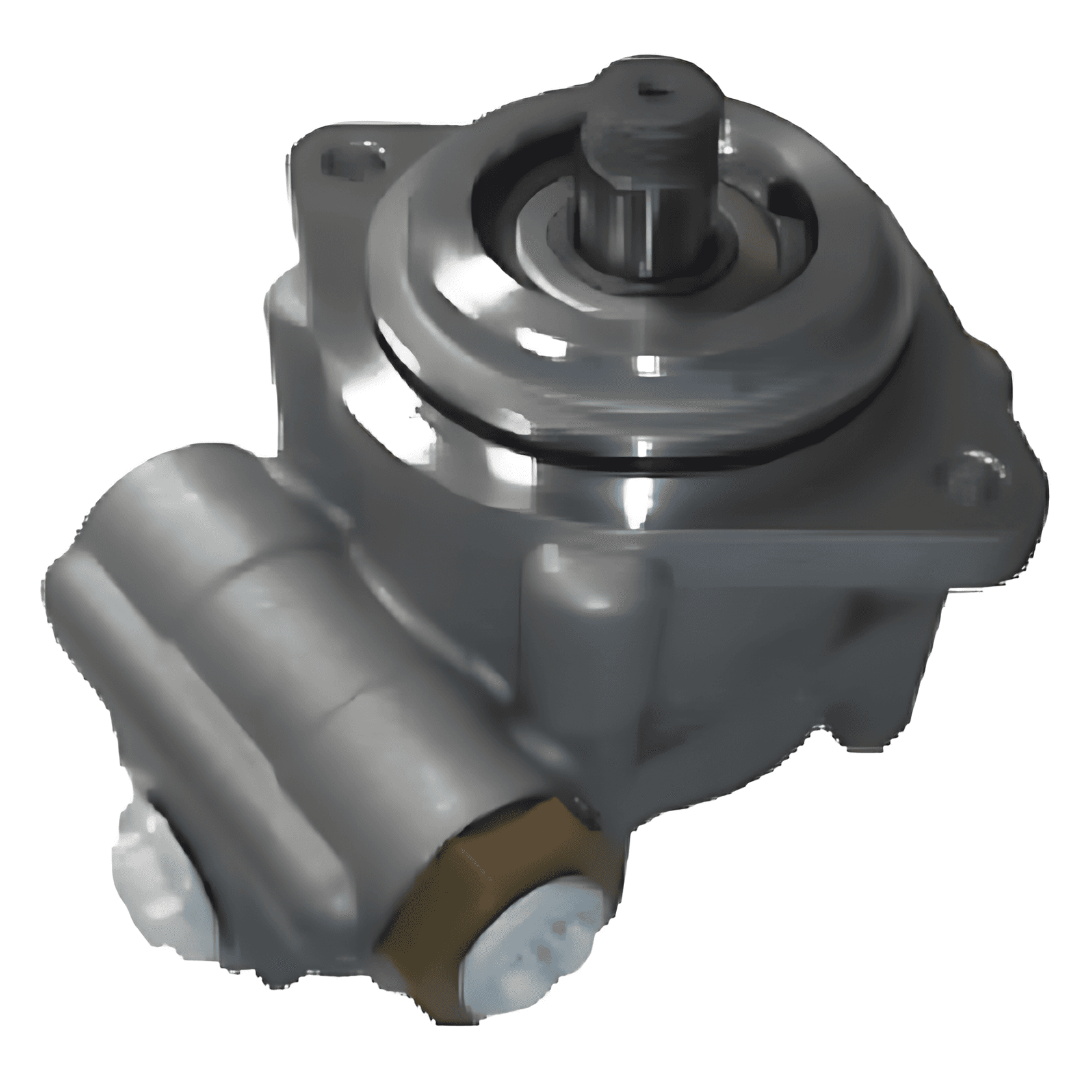 BOMBA DIRECAO HIDRAULICA - 100000324850