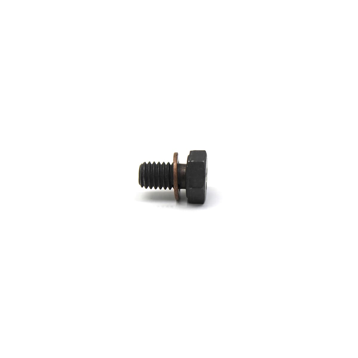 PARAFUSO (6MM) M6X10X1,0 COM ARRUELA COBRE - 3939570