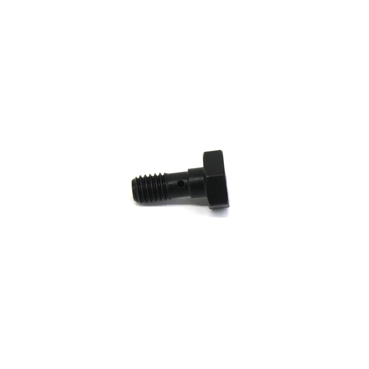 PARAFUSO BANJO  M6 X 1 0 X 15 - 70740744E
