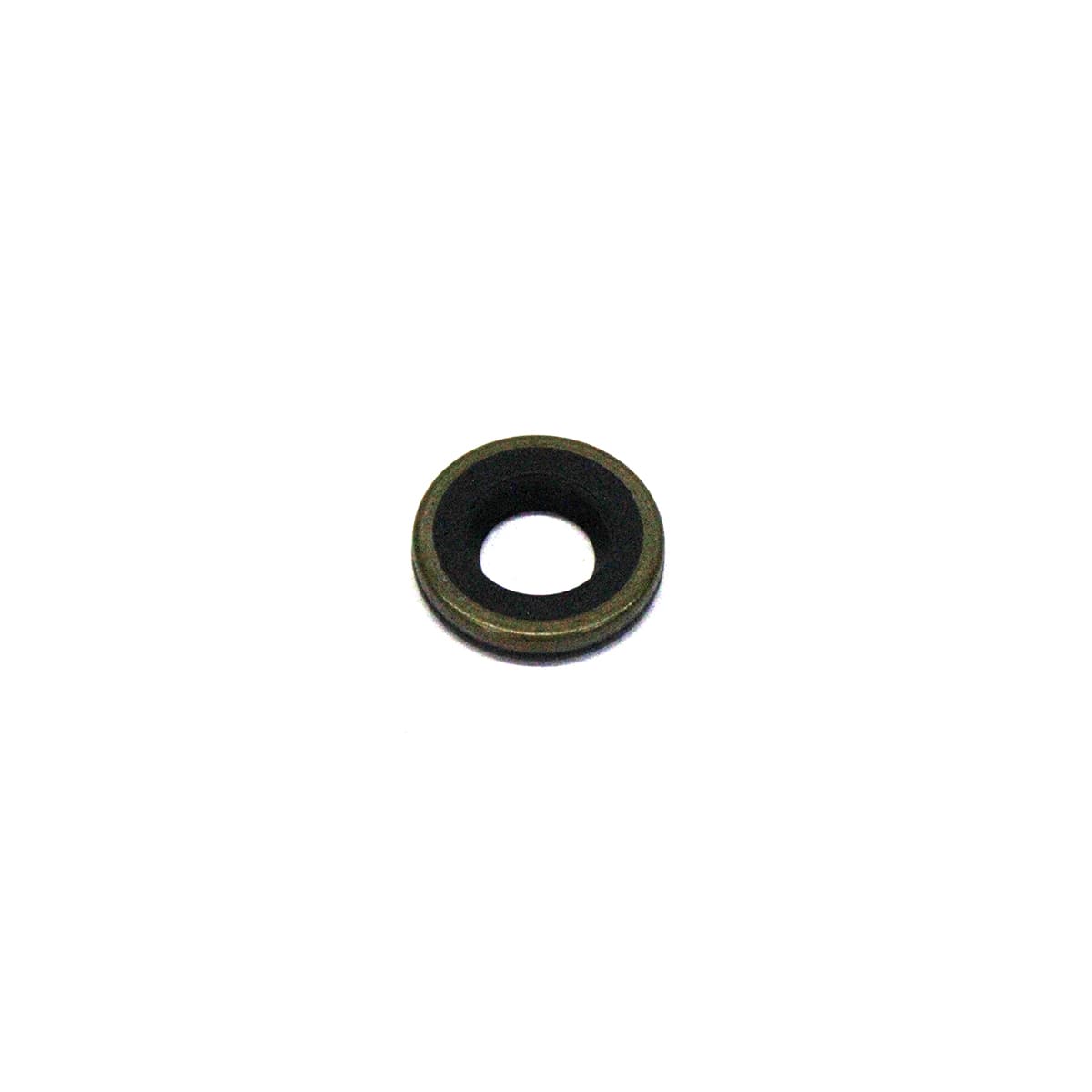 RETENTOR CATRACA/AJUSTADOR FREIO AGRALE/MB/VW/VOLVO - CO425