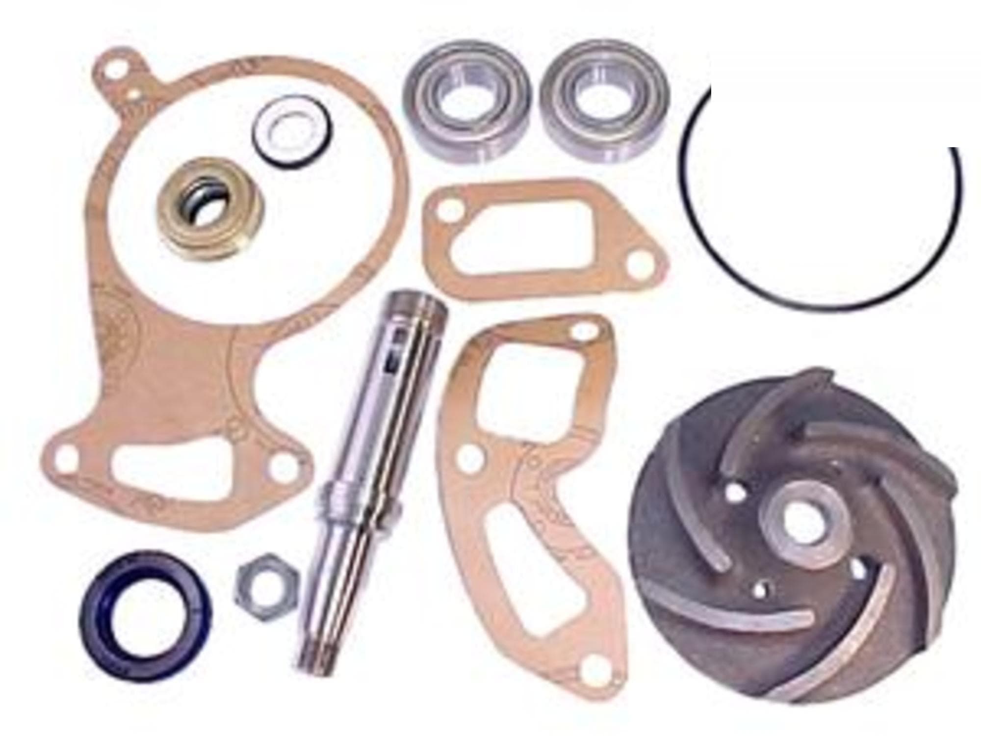 REPARO BOMBA DAGUA COM ROLAMENTO PARA SCANIA LK140 142  - 550144