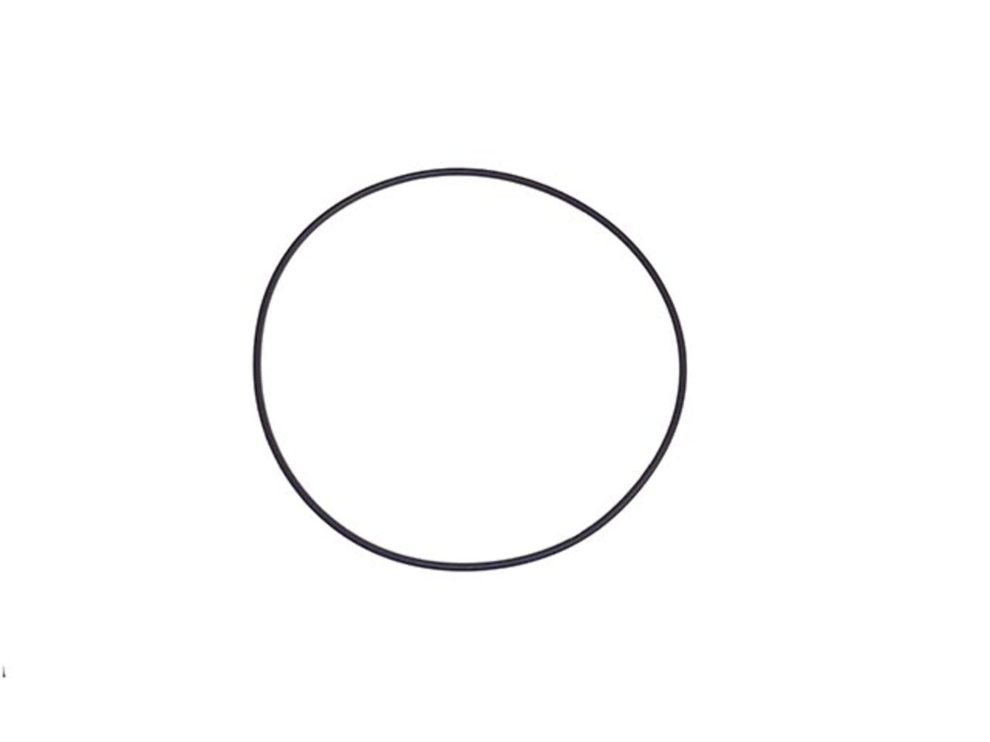 ANEL VEDACAO O-RING CUBO RODA CARRETA FACCHINI MODERNO - 308900310