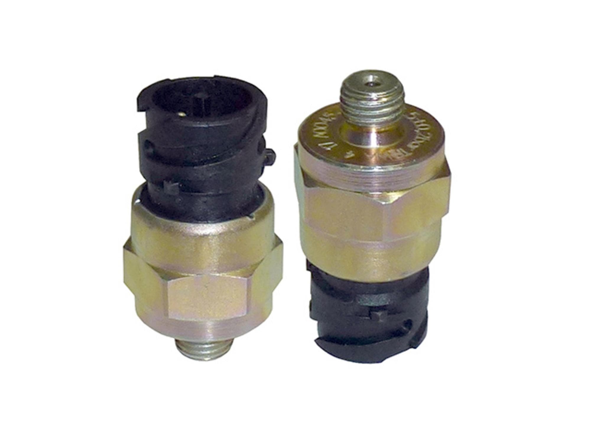 INTERRUPTOR BALAO AR (5,5BAR) BR1007 - 45455414