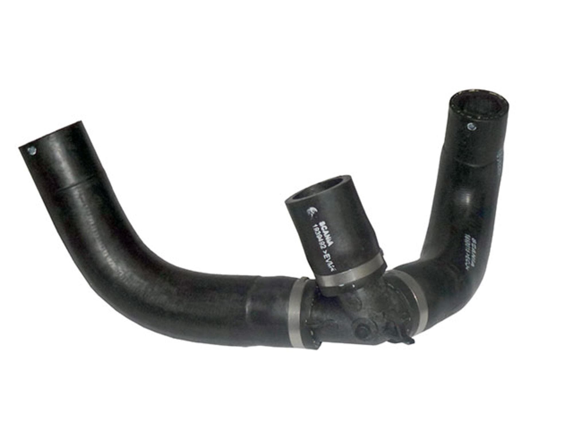 MANGUEIRA RAMIFICADA - 1858220