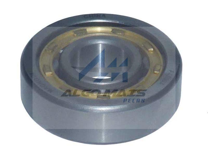 ROLAMENTO REP.BOMBA D AGUA 355 - 0019819601