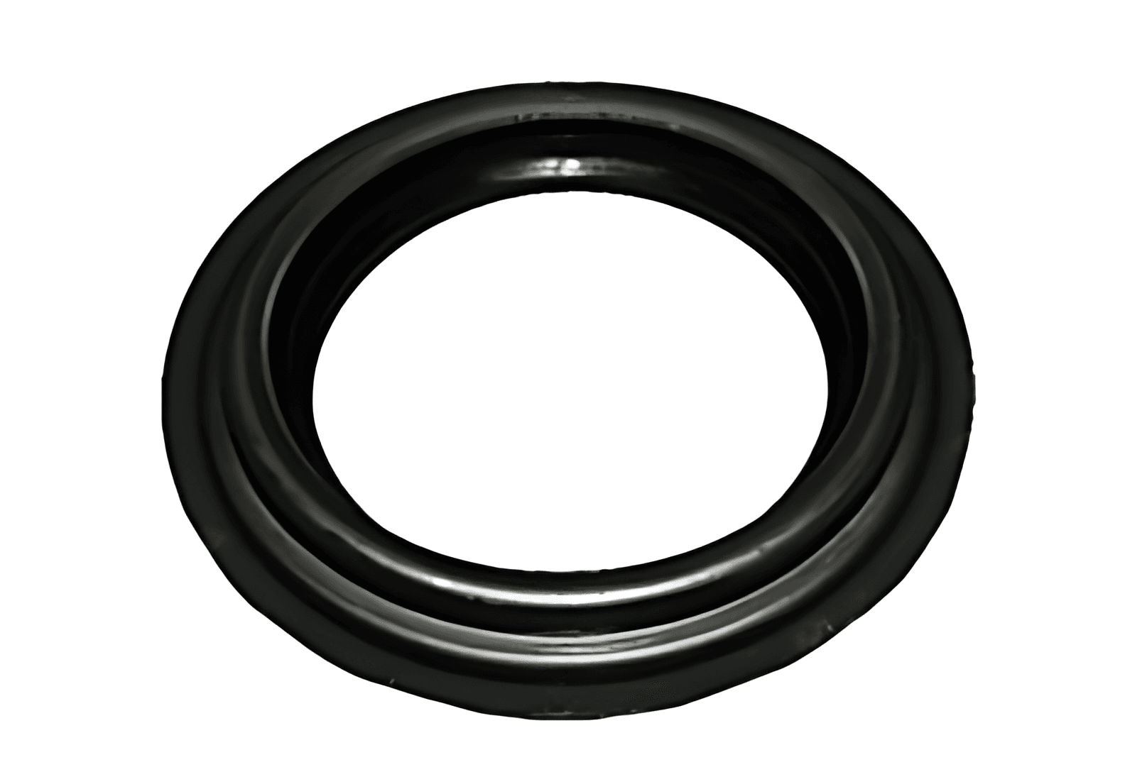 RETENTOR RODA TRASEIRA     DANA 267                     5876 - BF8T1117B