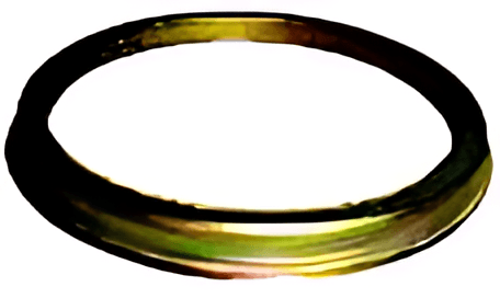 PROTETOR DE PO DO RETENTOR ROL.TRASEIRO RT - TJG311879