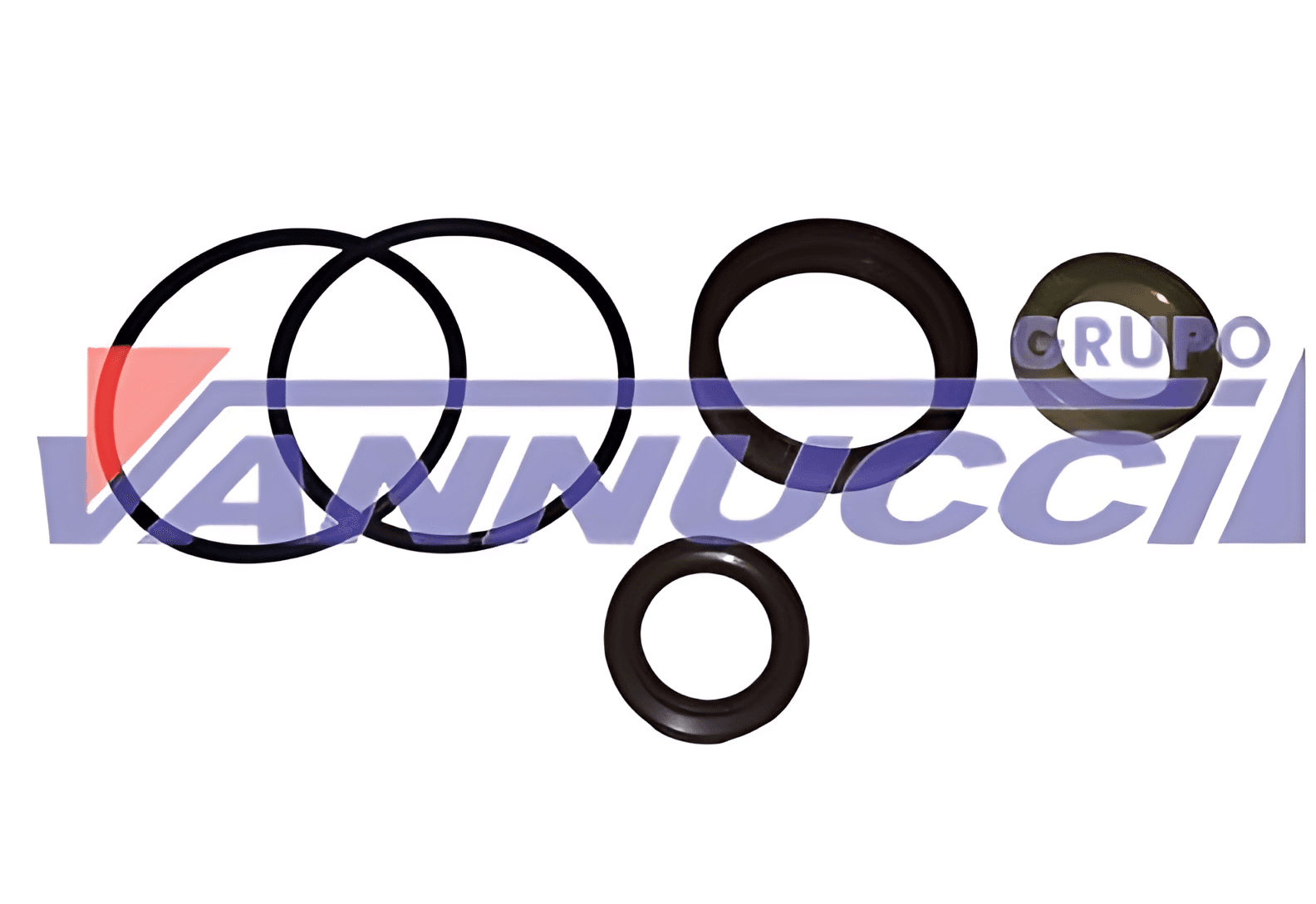 ANEL  VEDADOR REDUZIDA G211 - 0069976447