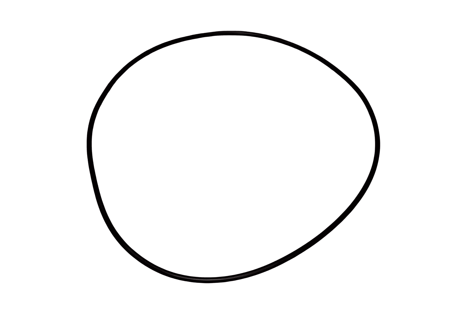 ANEL ORING DIFERENCIAL - TAK525419