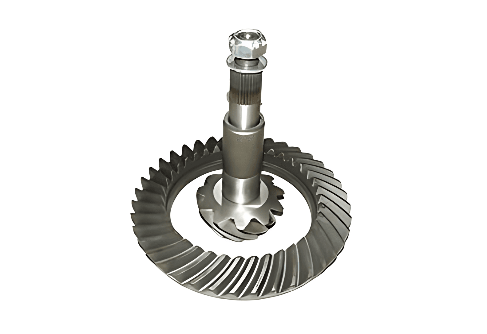 COROA PINHAO 39X11 - 503120335