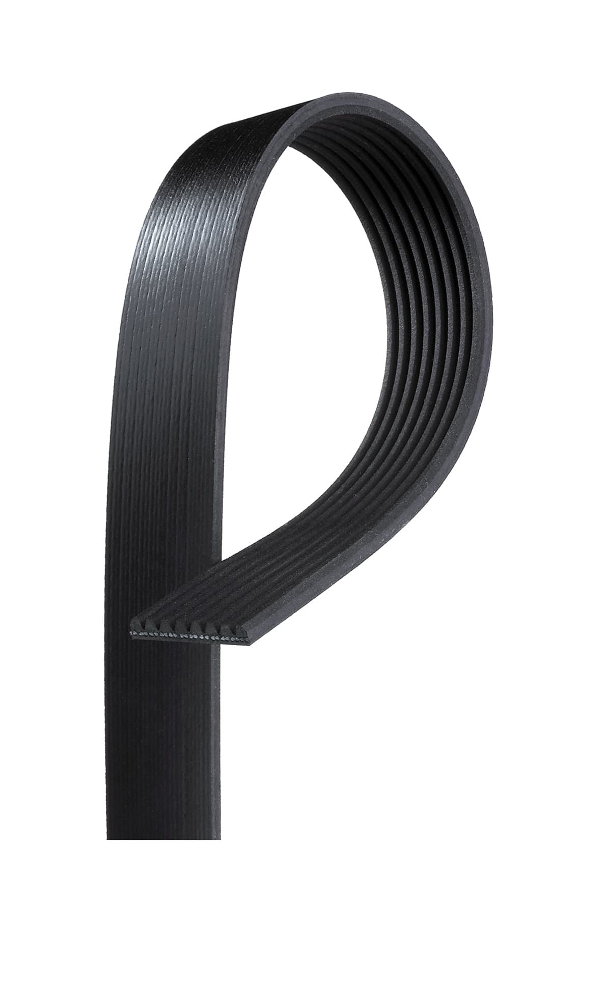 CORREIA MICRO-V 8PK1850/8PK1852 - 1389015