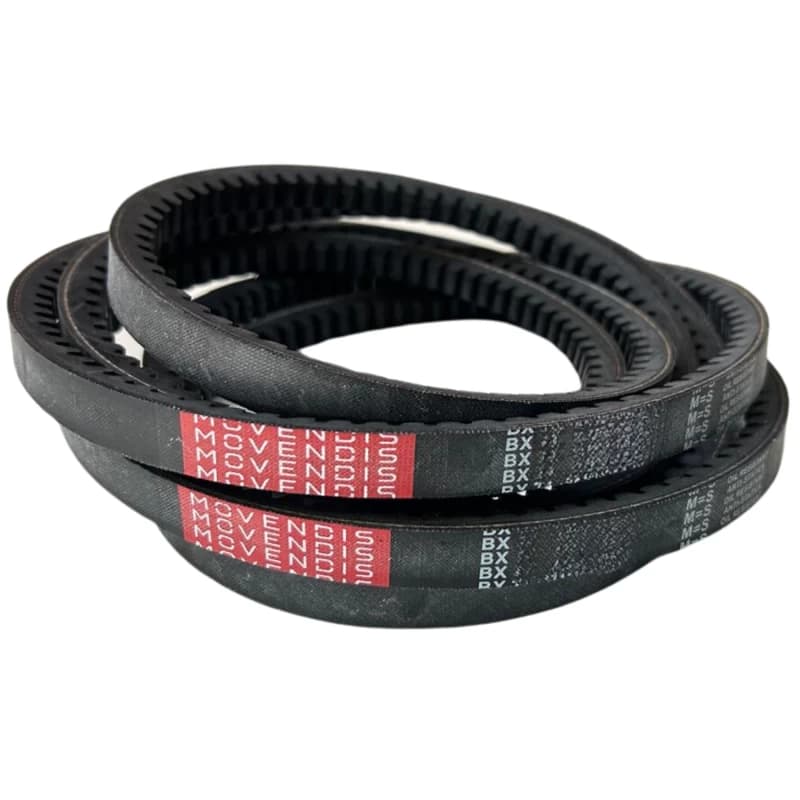 CORREIA BX - 20764628