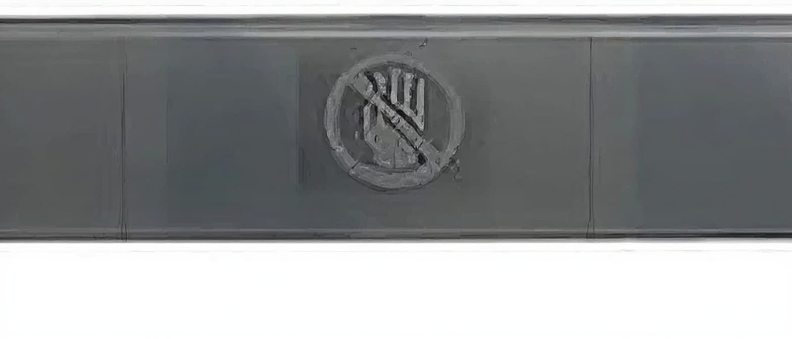 MOLDURA PARA-BRISA - 20491690