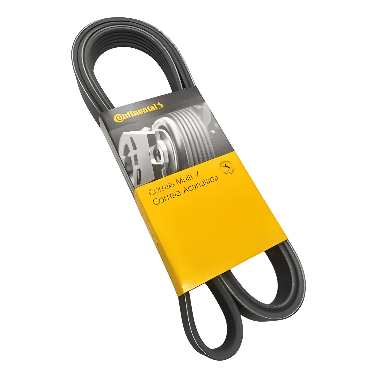 CORREIA (10PK2700) - 6025005165007