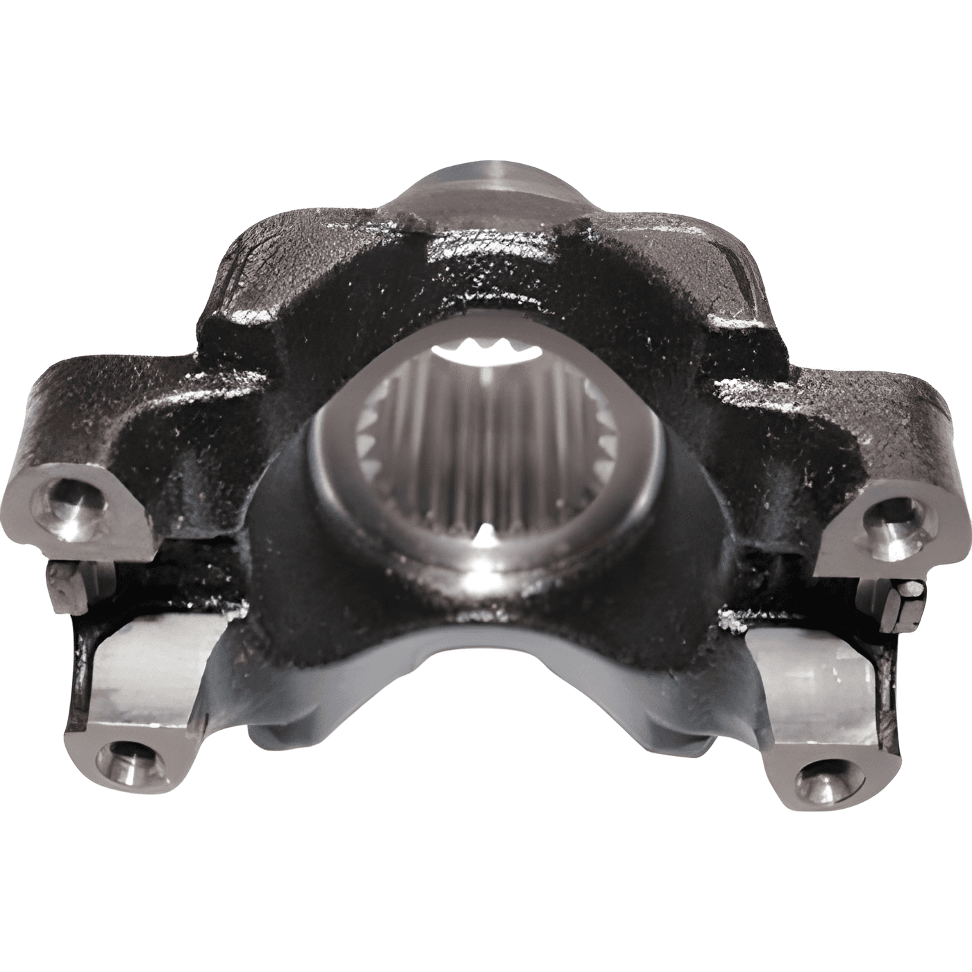 GARFO DA JUNTA UNIVERSAL - 23B311809D