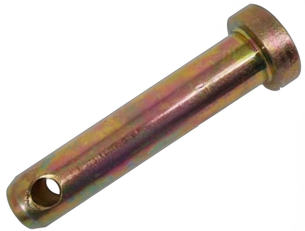 PINO - N0220421