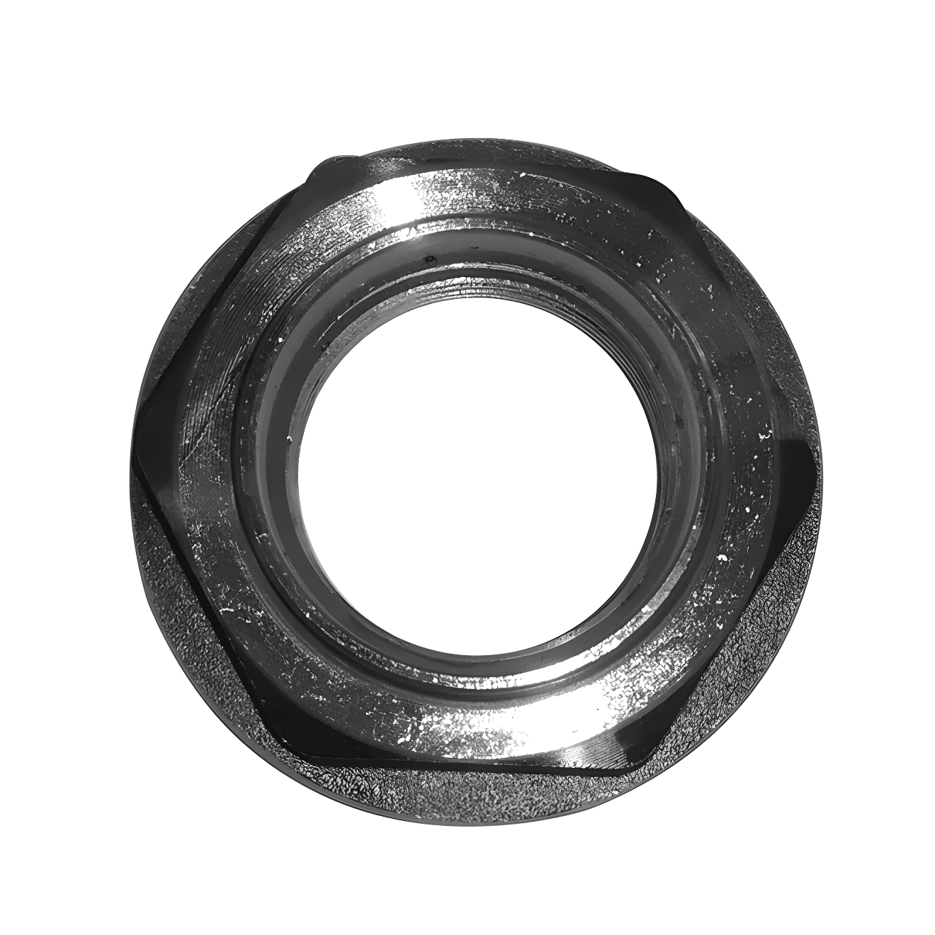 PORCA - T11417151