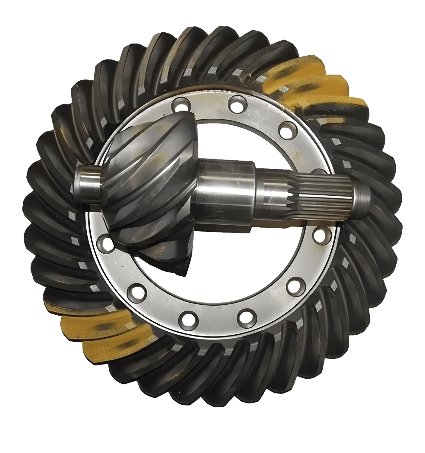 COROA PINHAO 10X38 - 1345286