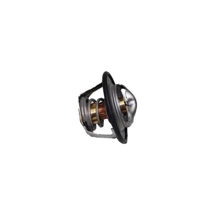 TERMOSTATO - BH8X8575AA