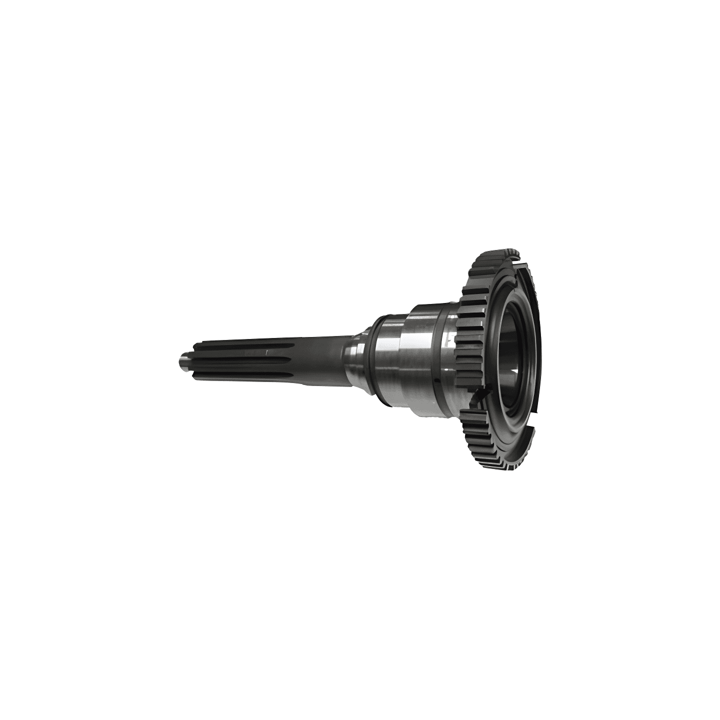 PINO RE - 42534944