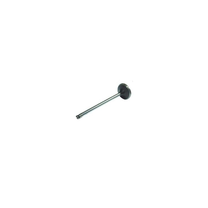 VALVULA ESCAPE MOTOR CUMMINS - BF5X6505A