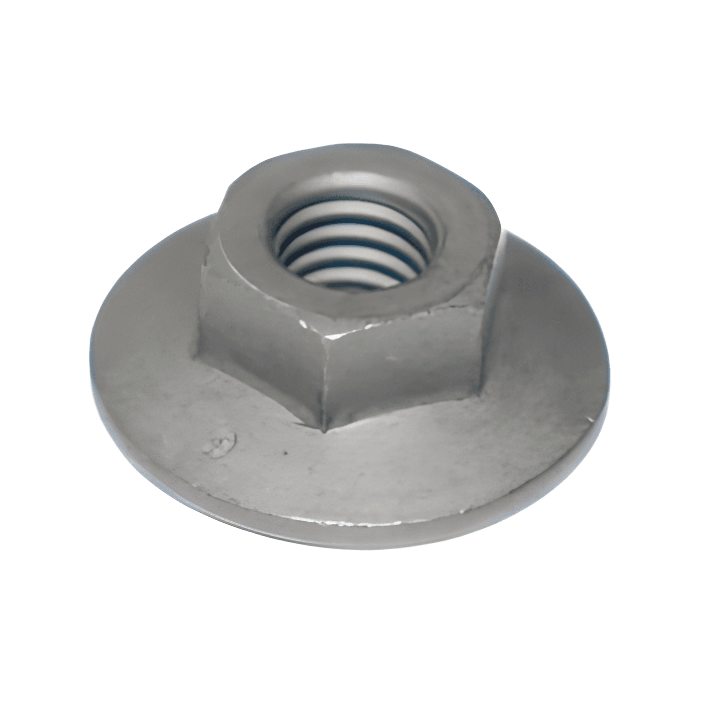 PORCA SEXTAVADA - 500057817