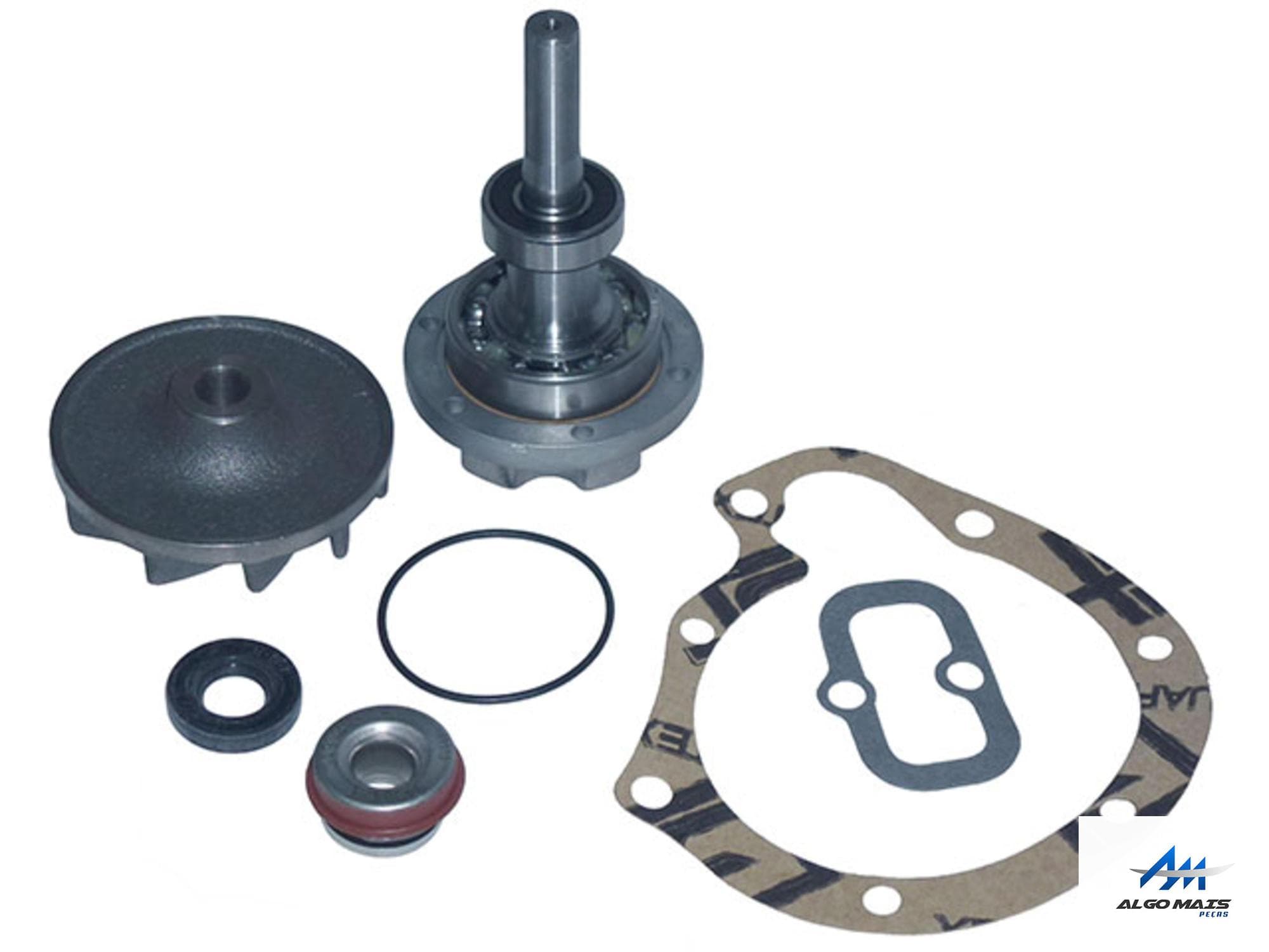 REPARO BOMBA D AGUA PARCIAL - 3762000204P