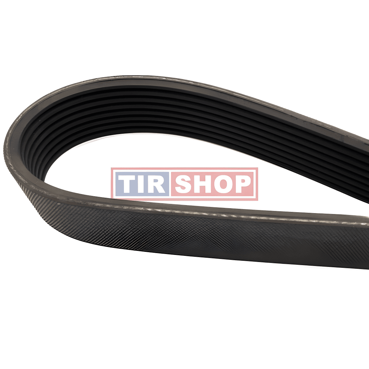 CORREIA 8PK2060 - 2Z0903137B